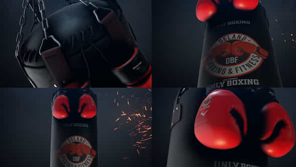 Boxing Gloves Logo - VideoHive 25009365