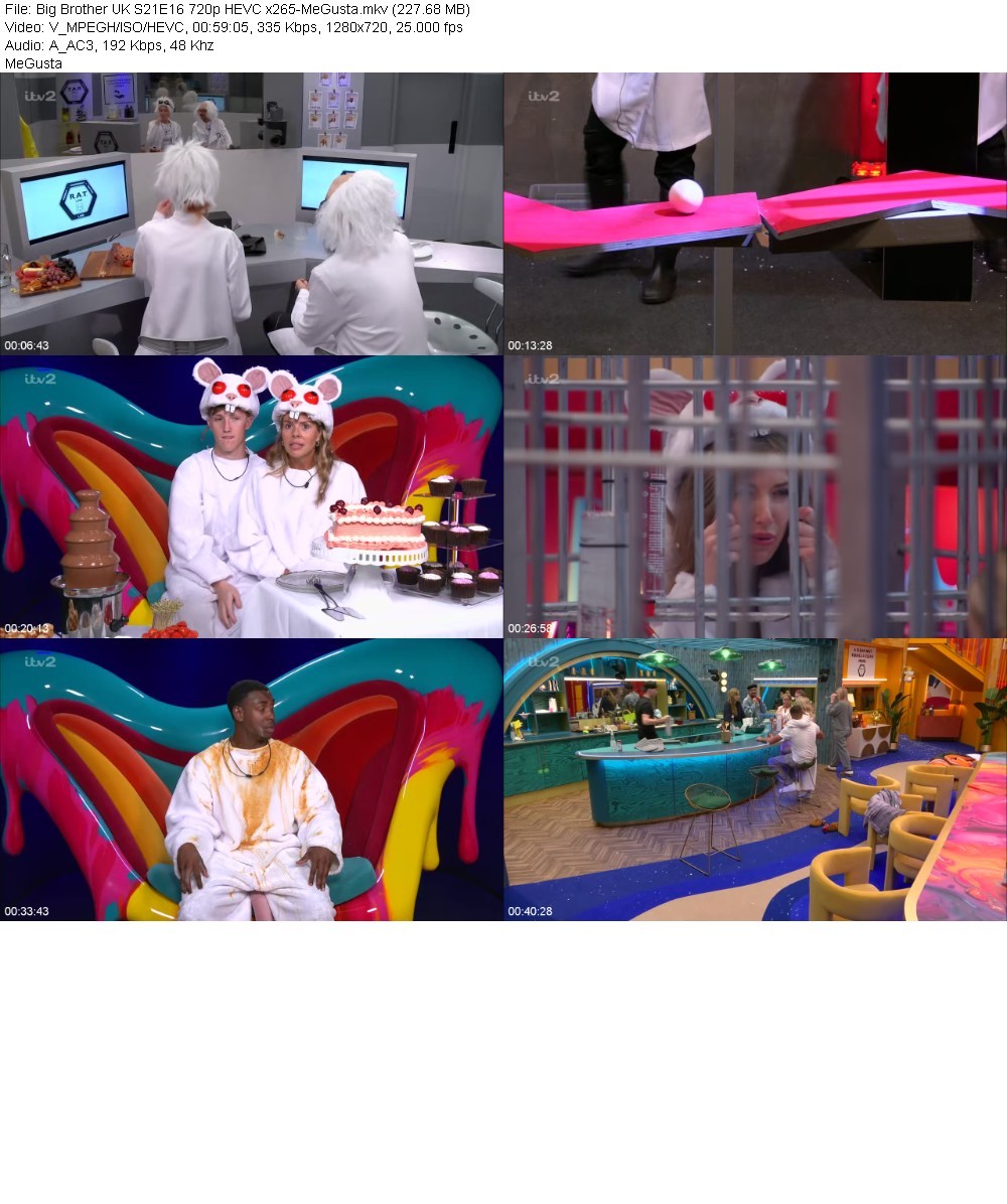 Big Brother UK S21E16 720p HEVC x265-MeGusta