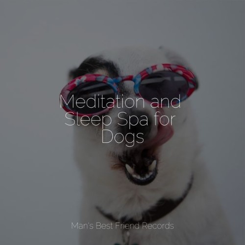 Music for Pets Library - Meditation and Sleep Spa for Dogs - 2022