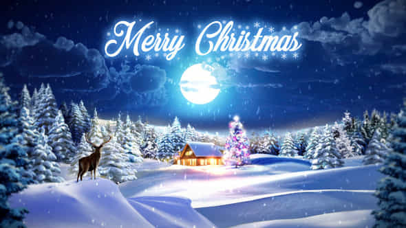 Xmas Greeting - VideoHive 29575066