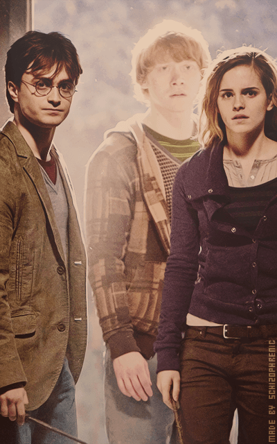 Harry Potter Z81Nyn5F_o