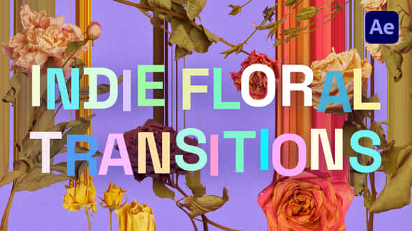 Indie Floral Transitions - VideoHive 40119568