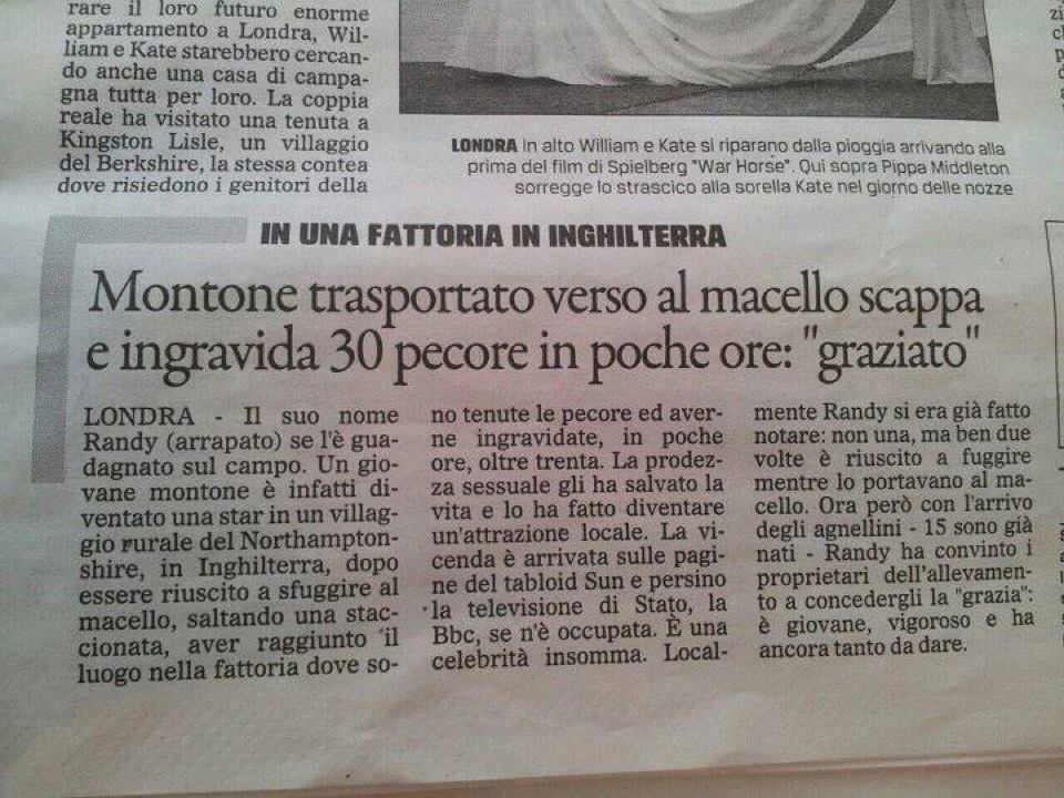 Ritagli di giornale HRB1DOD1_o