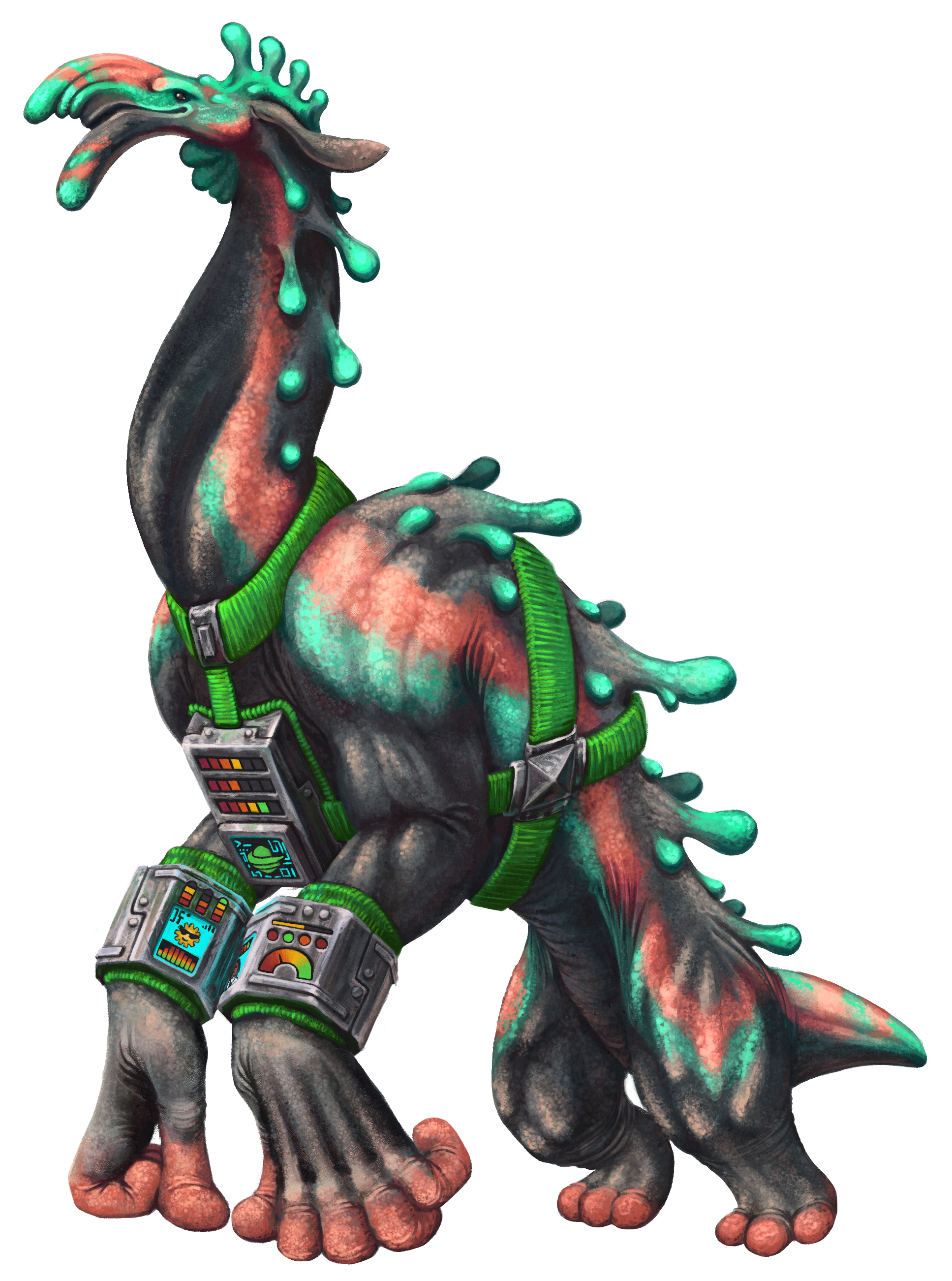 FUSXkxNr_o.png