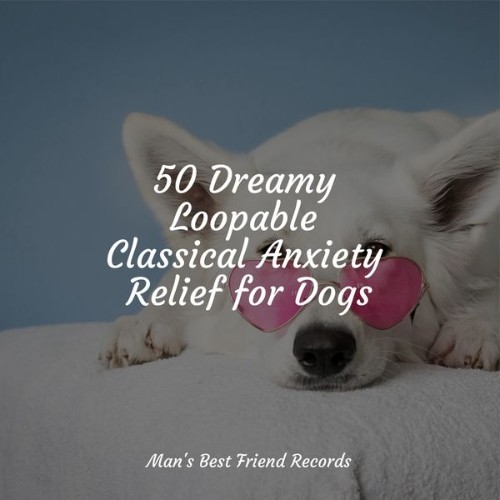 Dog Music Club - 50 Dreamy Loopable Classical Anxiety Relief for Dogs - 2022