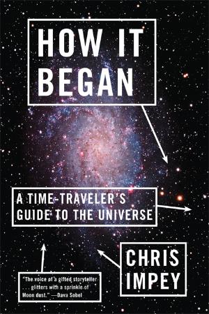 How It Began A Time Traveler's Guide to the Universe