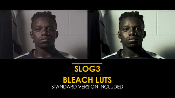Slog3 Bleach And Standard Color Luts - VideoHive 48800922