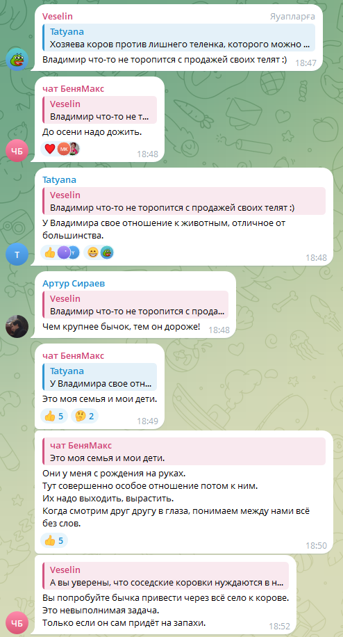 mHslmejr_o.png