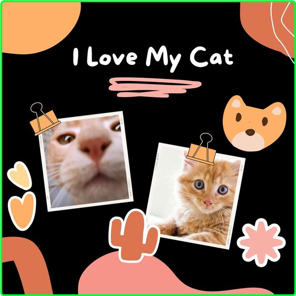 Various Artists - I Love My Cat (2024) [320 Kbps] SluZdgIB_o