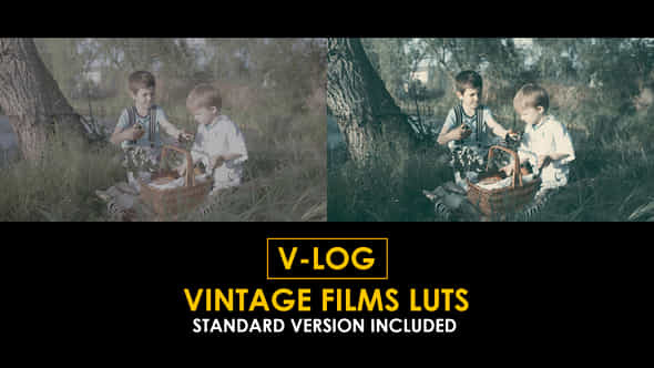 Vlog Vintage Film And Standard Luts - VideoHive 51362539