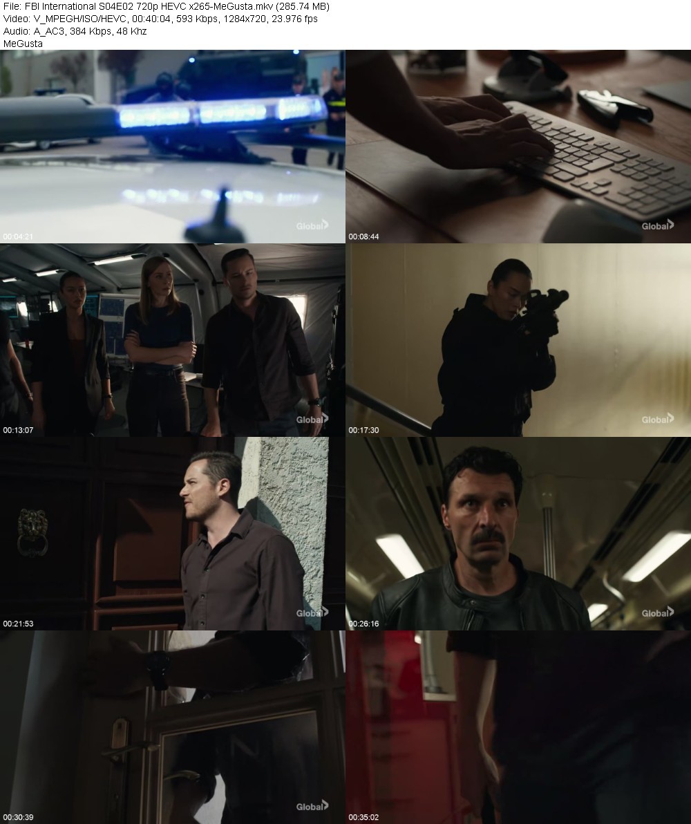 FBI International S04E02 720p HEVC x265-MeGusta