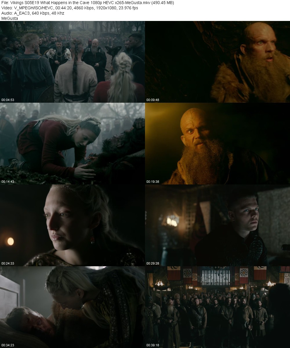 Vikings S05E19 What Happens in the Cave 1080p HEVC x265-MeGusta