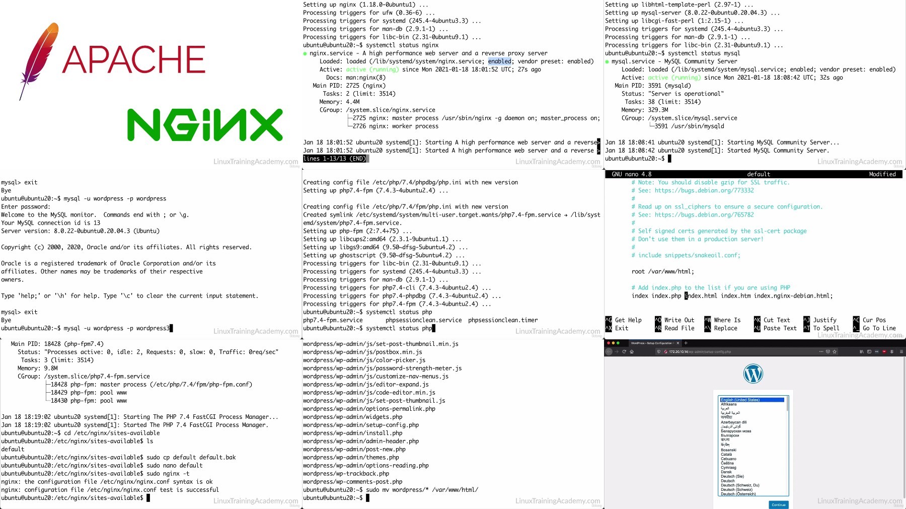 https://images2.imgbox.com/74/a3/LOzZXjrd_o.jpg