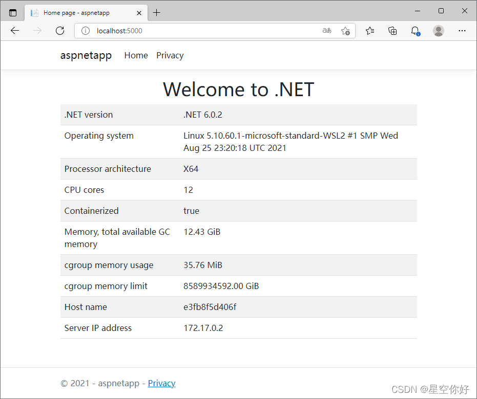 asp.net core docker容器运行示例