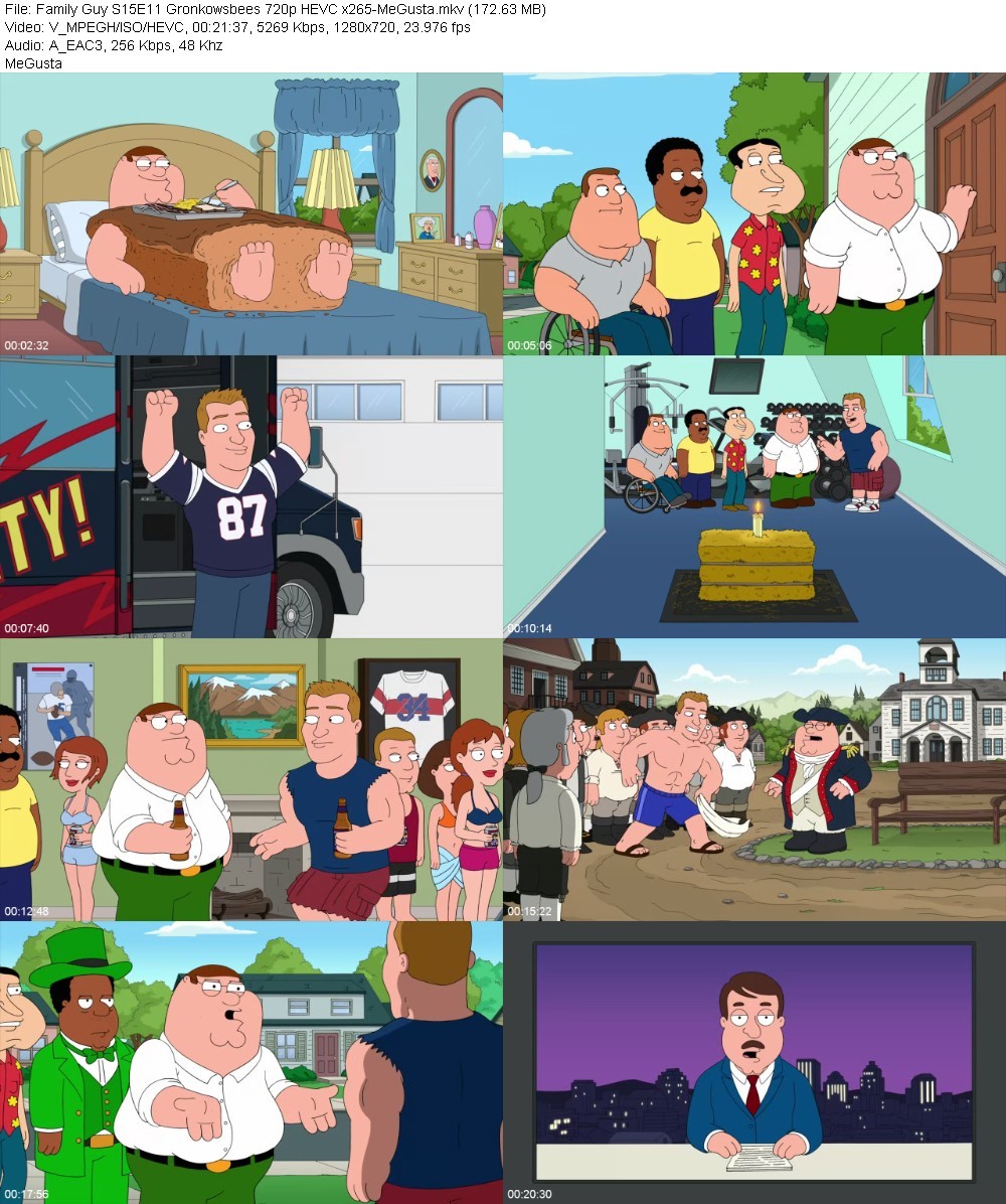 Family Guy S15E11 Gronkowsbees 720p HEVC x265-MeGusta