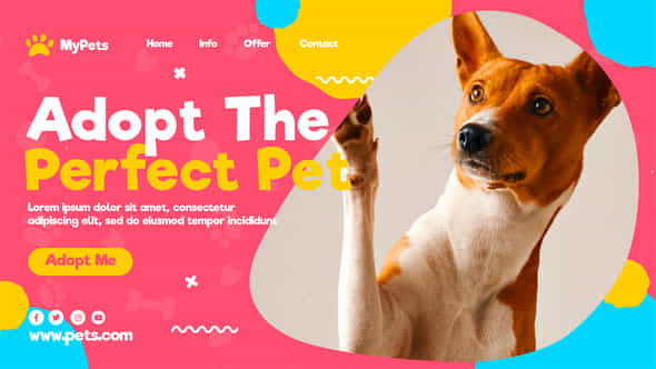 Adopt Me Pets Promo - VideoHive 35404913