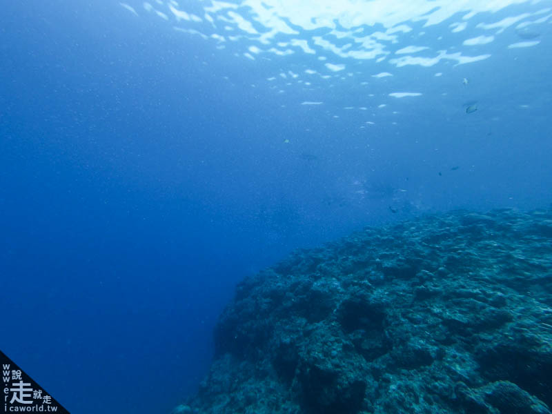 沖繩 青之洞窟 潛水 岸潛