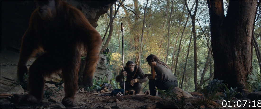 Kingdom Of The Planet Of The Apes (2024) [1080p] WEBrip (x264) [6 CH] C0sF0kLz_o