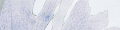 Pas de nouveaux messages Pas de nouveaux messages