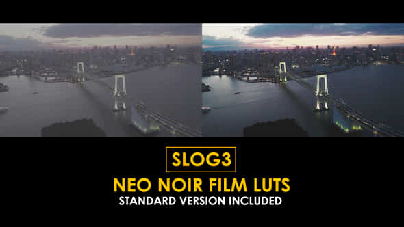 Slog3 Neo Noir Film And Standard Luts - VideoHive 50922217