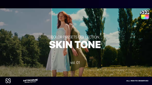 Skin LUT Collection - VideoHive 47794916