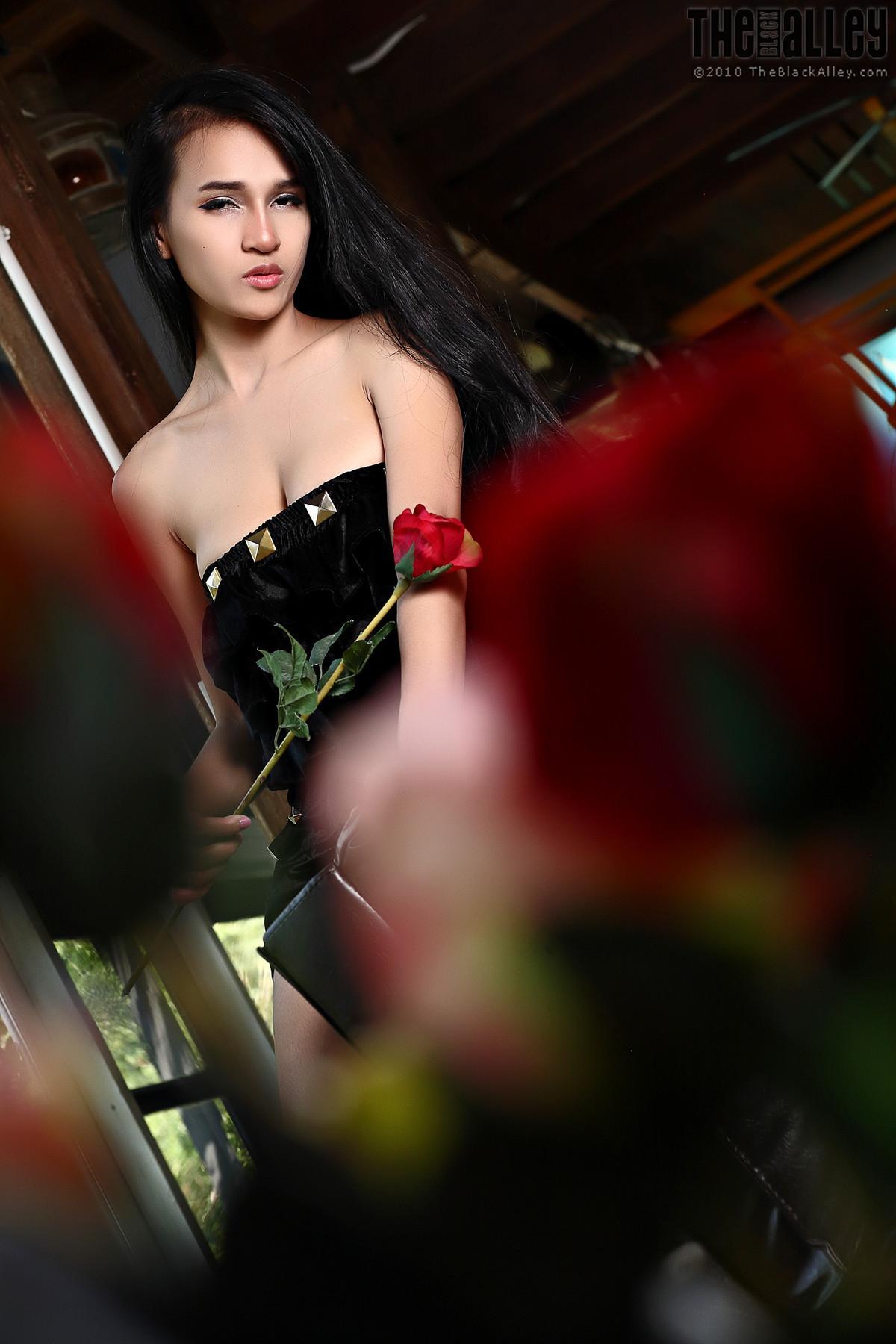 Ginny The Black Alley Photobook Set.12(12)