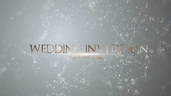 Wedding Invitation | - VideoHive 42641763