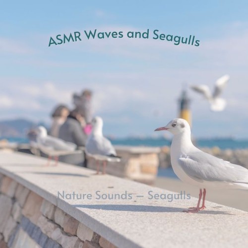 ASMR Waves and Seagulls - Nature Sounds – Seagulls - 2022