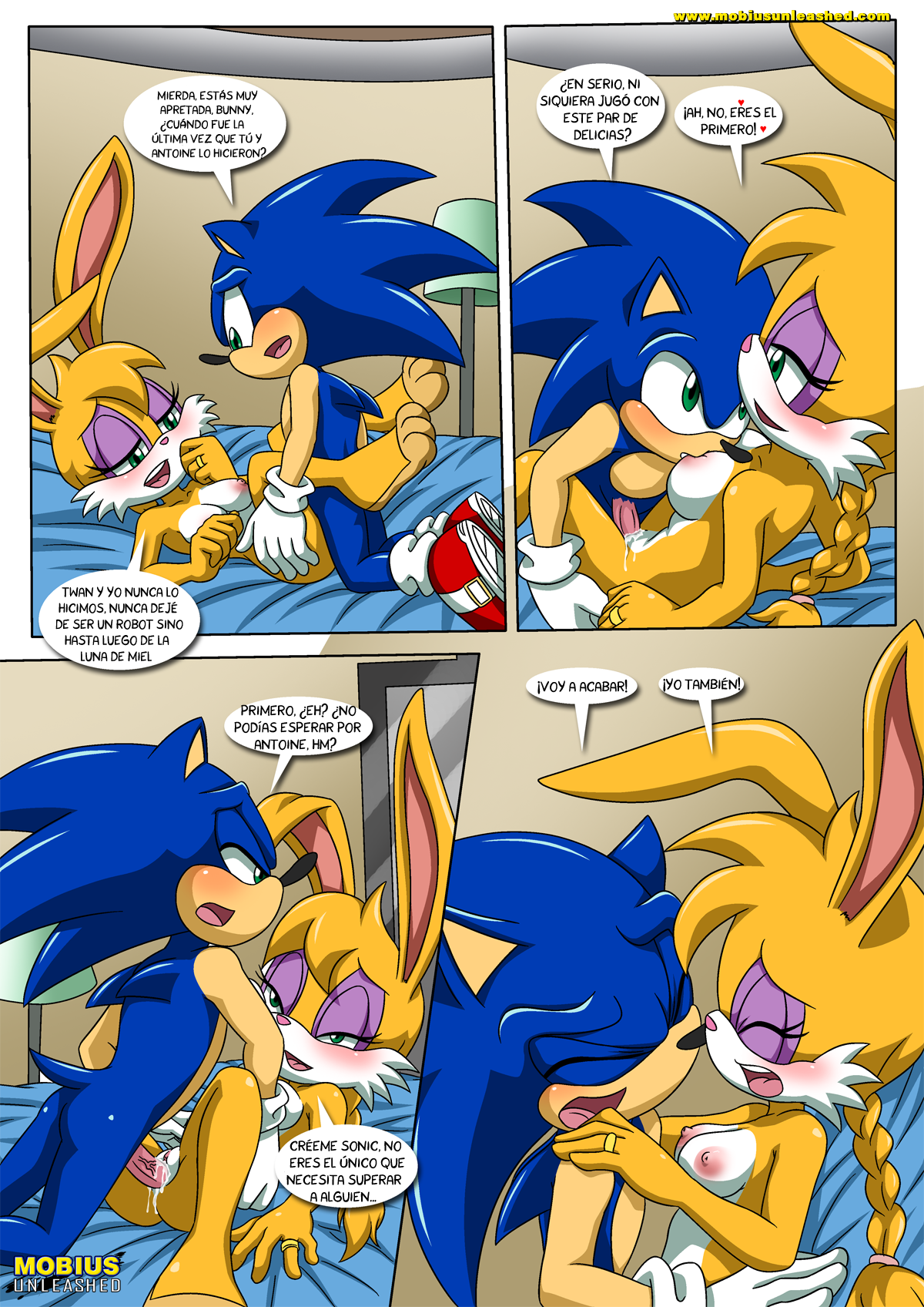 Sonic and Sally Break Up – Palcomix - 11