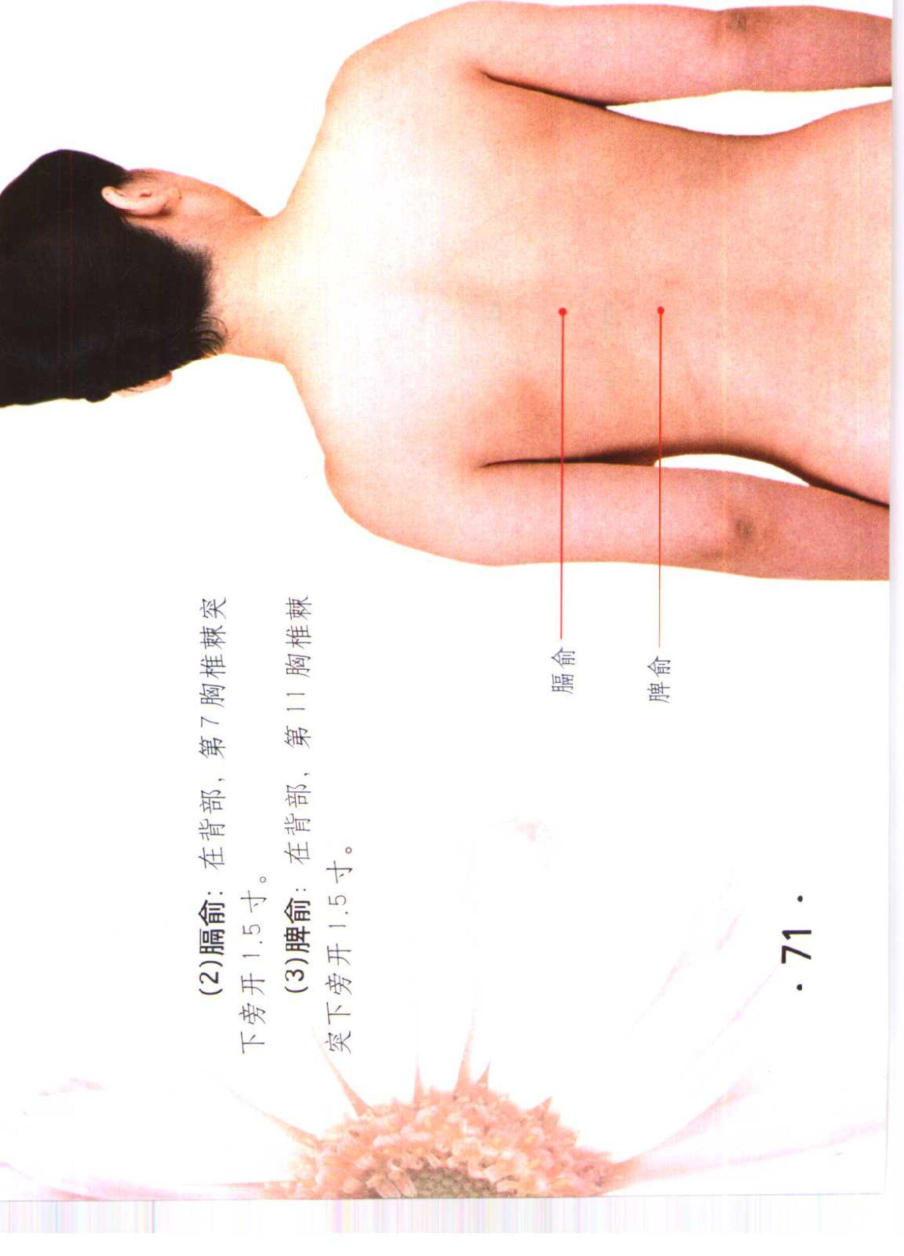 书籍扫描 乳房保健按摩彩色图谱(76)