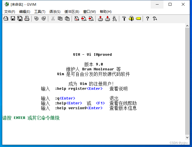 Vim9正常启动