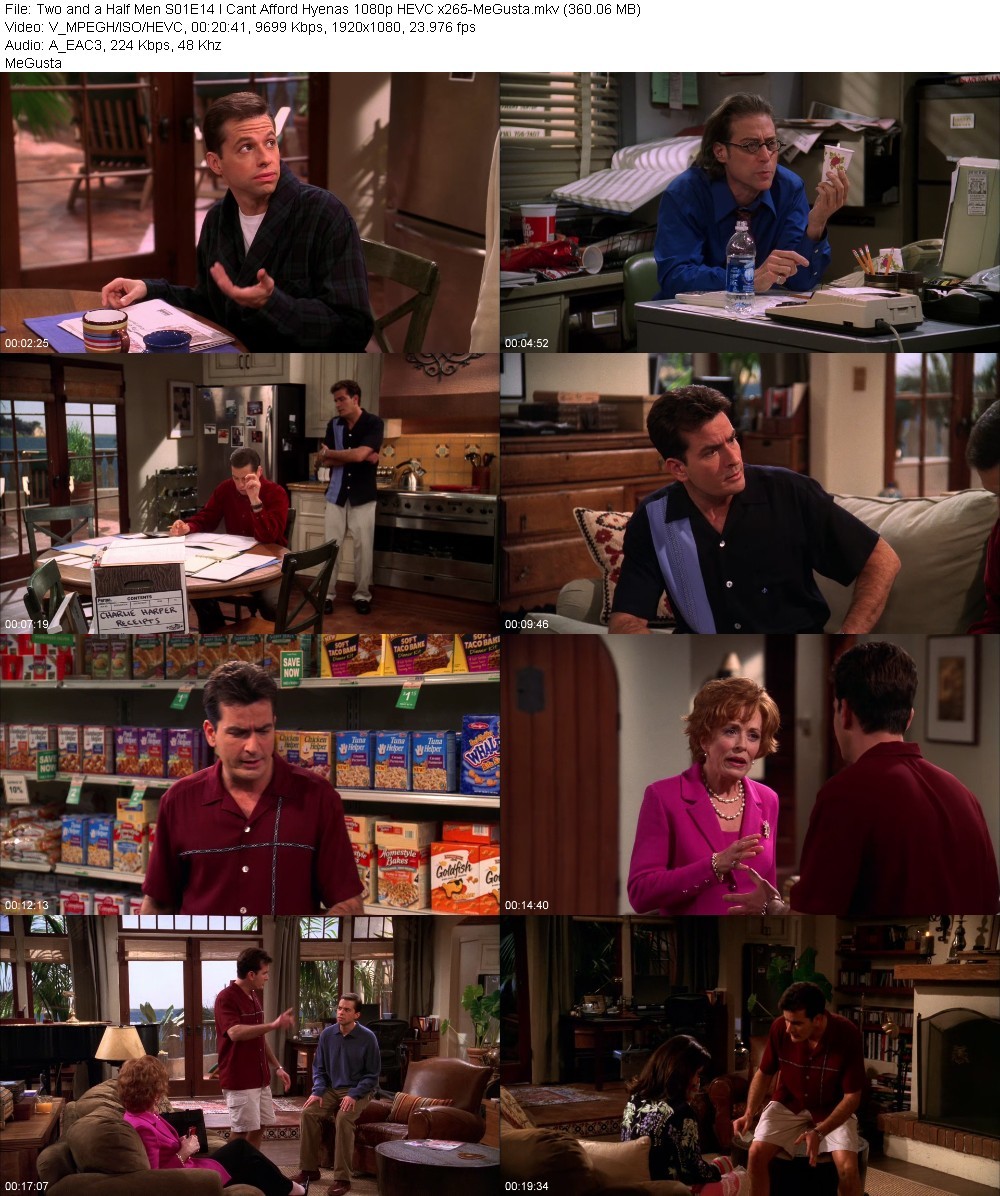 Two and a Half Men S01E14 I Cant Afford Hyenas 1080p HEVC x265-MeGusta