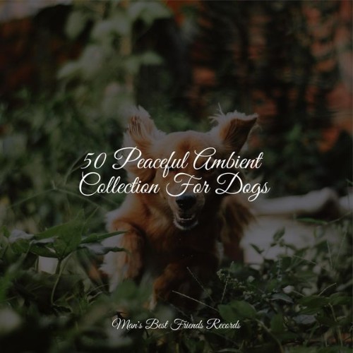 Music for Dogs Collective - 50 Peaceful Ambient Collection For Dogs - 2022