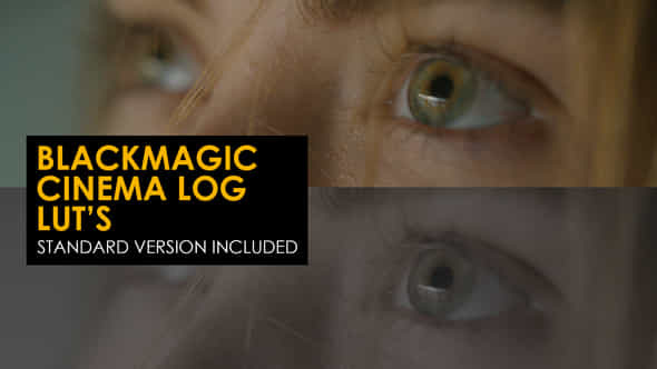 Blackmagic Cinema Log - VideoHive 39882351