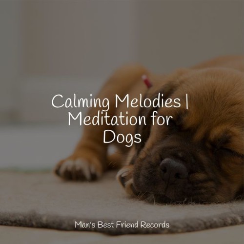 Pet Care Club - Calming Melodies  Meditation for Dogs - 2022