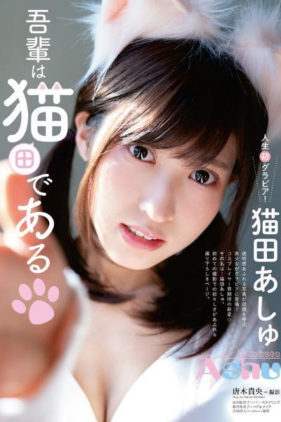 Ashu Nekota 猫田あしゅ, Young Animal 2021 No.05 (ヤングアニマル 2021年5号)