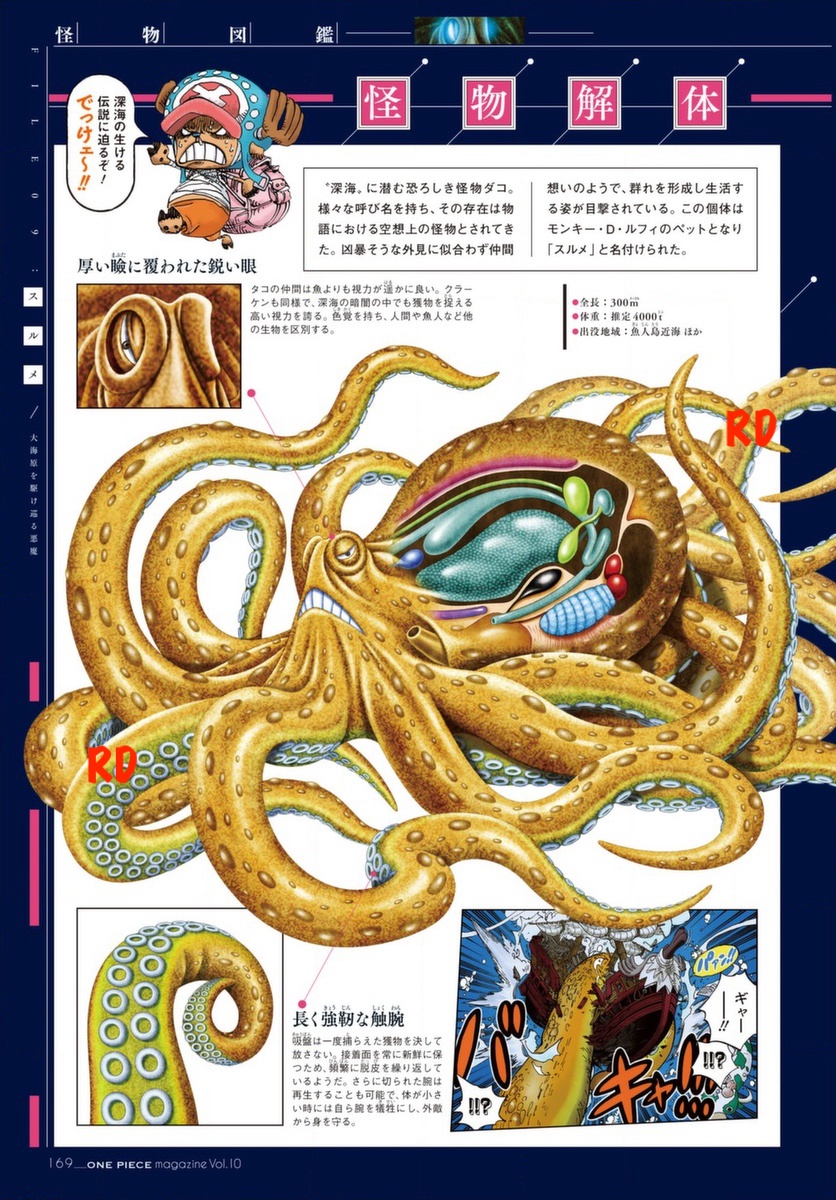 One Piece Magazine Vol 10 16 Of September Page 13 Worstgen