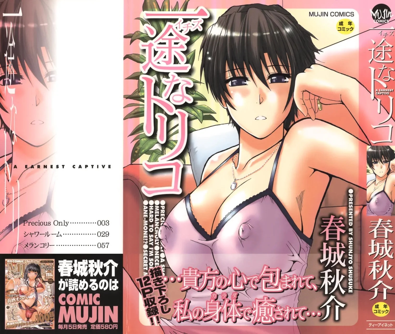 Ichizu na Toriko - A Earnest Captive - Shunjou Shuusuke - 207