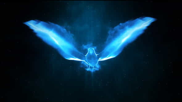 Magic Bird Logo Intro - VideoHive 24282156