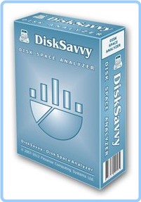 Disk Savvy 16.0.24 8ay1nNXC_o