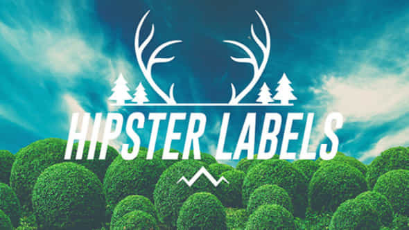 Hipster Labels - VideoHive 10739191