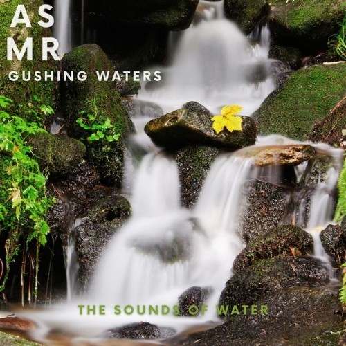 ASMR Gushing Waters - The Sounds of Water - 2022