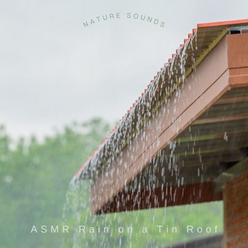 ASMR Rain on a Tin Roof - Nature Sounds - 2022
