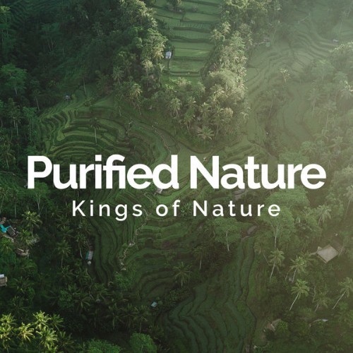 Kings of Nature - Purified Nature - 2019