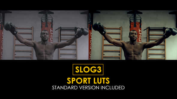 Slog3 Sport And Standard Color Luts - VideoHive 48799021