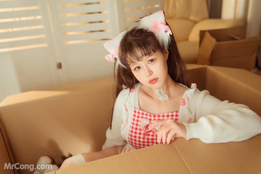 Coser@晕崽Zz: 箱娘 (52 photos)(48)
