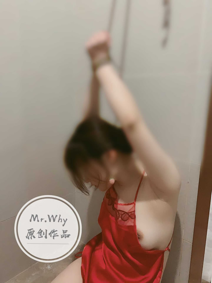 调教大佬@Mr.Why 尺度私拍视图合集(21)