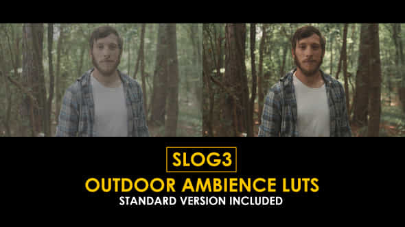 Slog3 Outdoor Ambience And Standard Color Luts - VideoHive 50931294