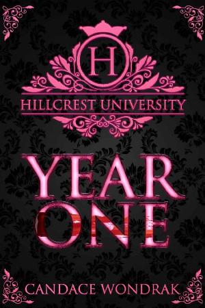 Hillcrest University  Year One - Candace Wondrak