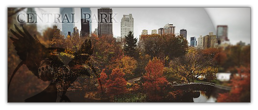 Central Park XwgbSOve_o